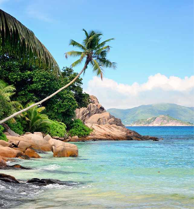 Palm trees lining the turquoise-coloured waters along Mahé Island.
