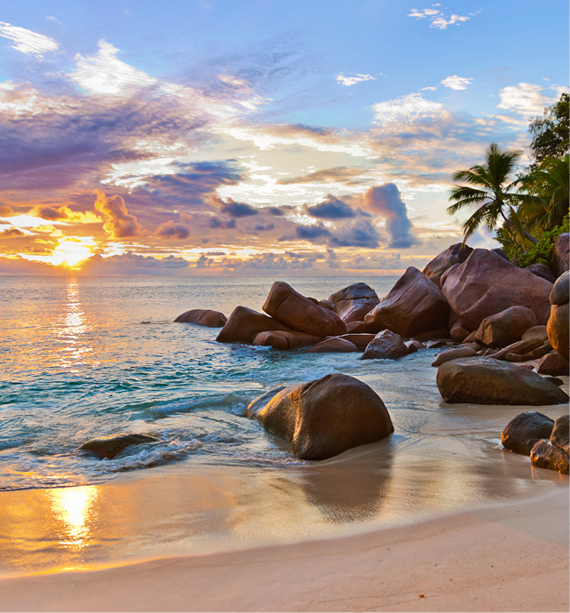 Rocks and palm trees along the shore at sunset on Praslin Island.
