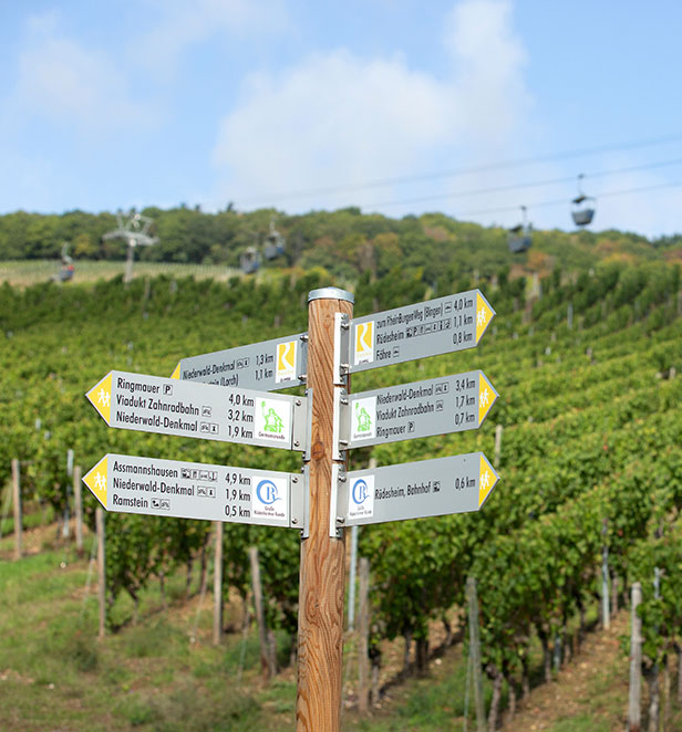 Deshiem Vineyard, Germany