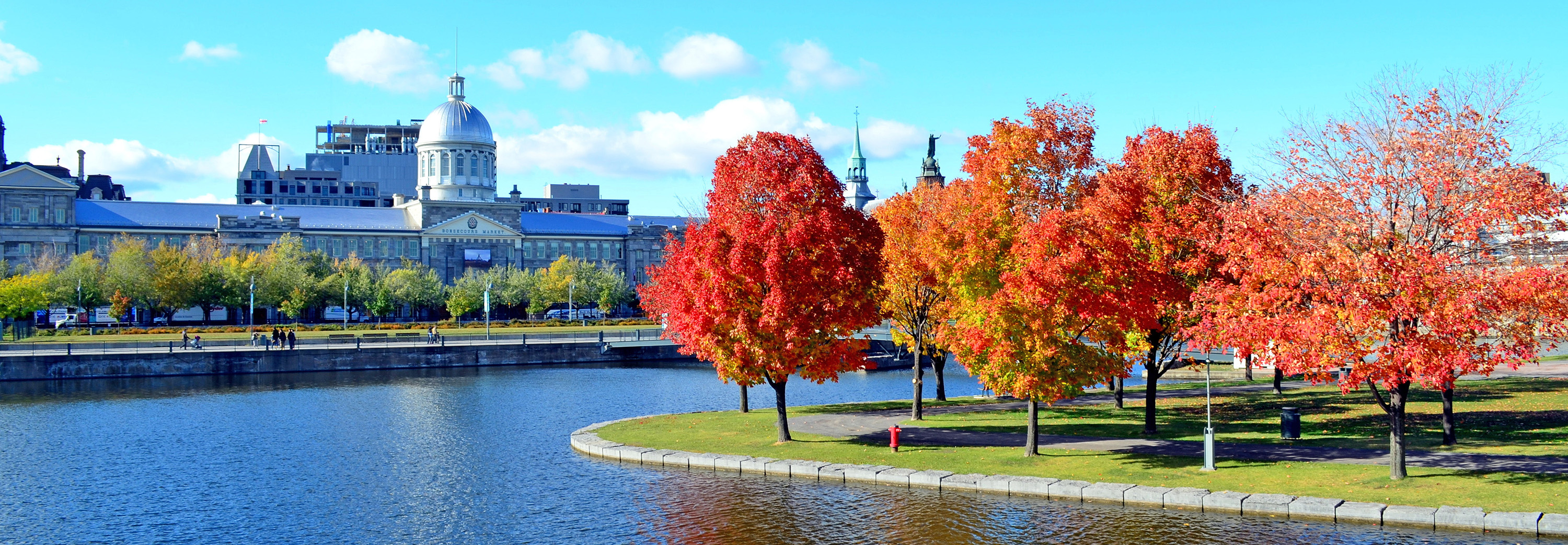 Autumn in full glorious display