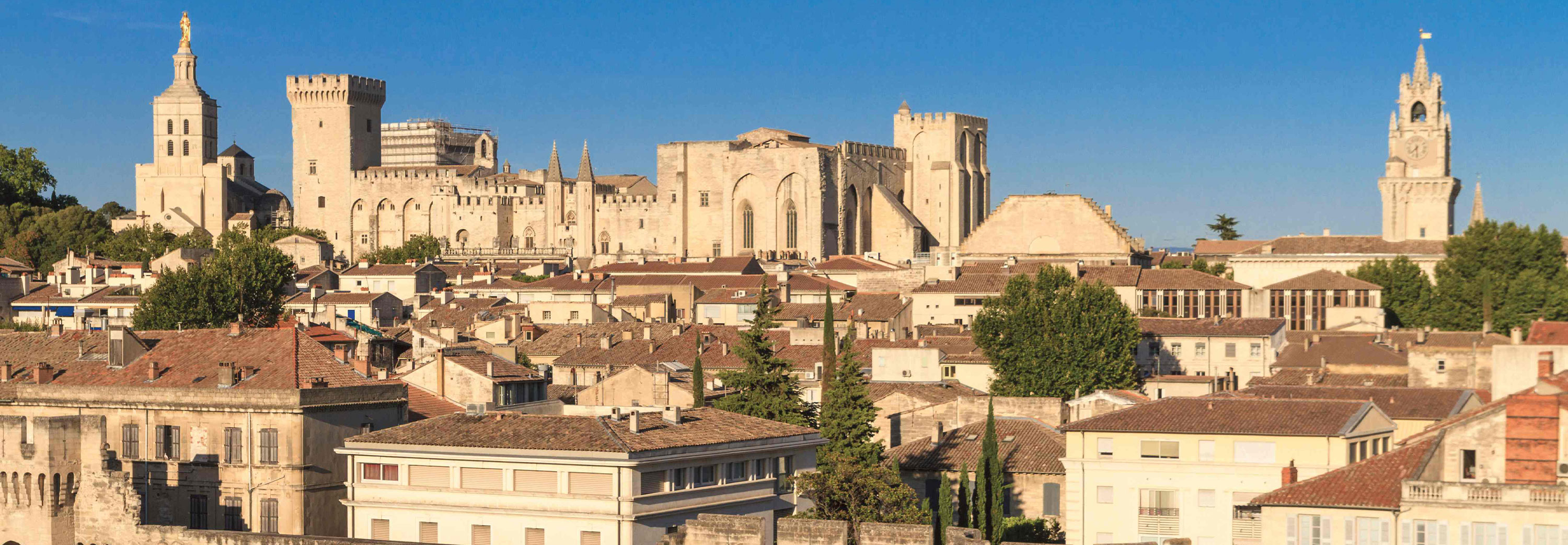 Majestic view of the historic Palace of the Popes.