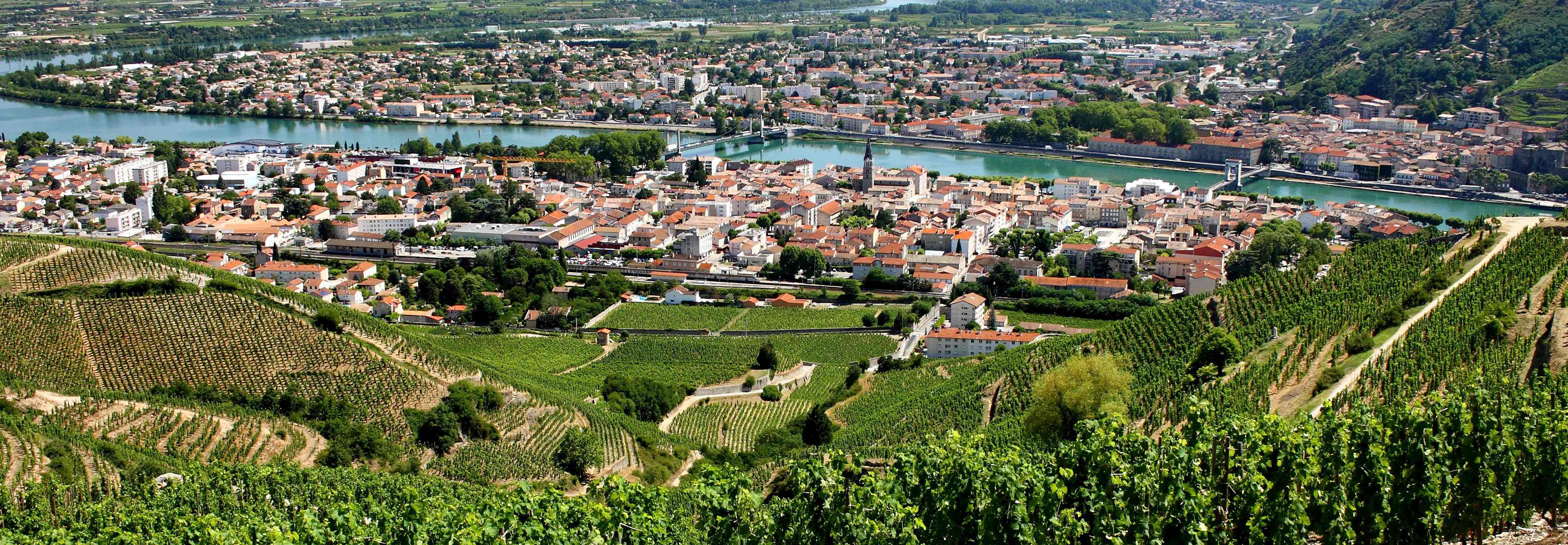 Vineyards overlooking Tournon, France