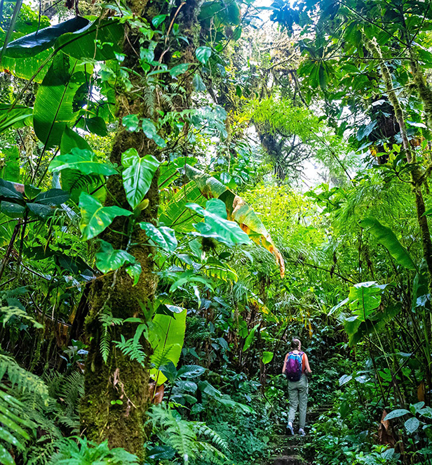 Isla Tortuga, Costa Rica